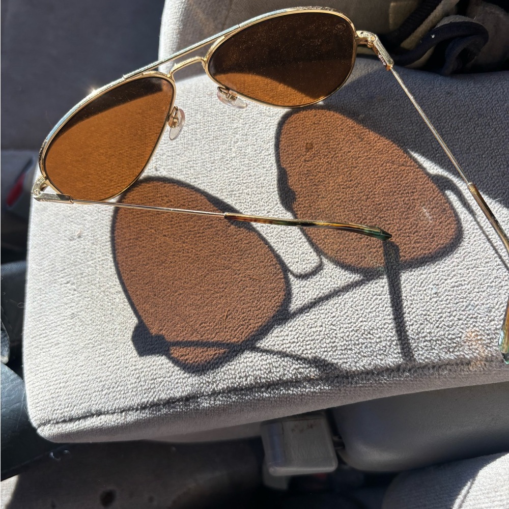 Electric AVI Gold Frame Sunglasses